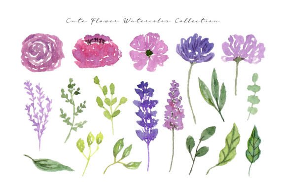 Cute Wild Flower and Leaf Watercolor Illustrations for Blog and Editorial Design