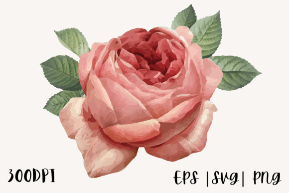 Decorative Watercolor Rose Illustration: A Versatile Asset for Bloggers and Digital Publishers