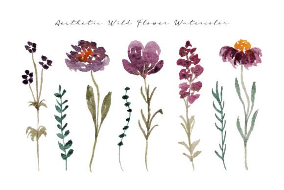 Elegant Wild Flowers Watercolor: A Fresh Illustrations Pick for Bloggers and Publishers