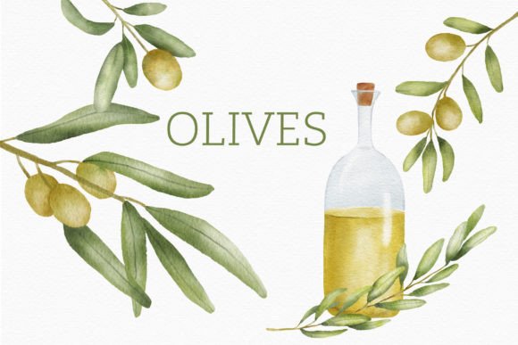Olive Branch Watercolor Clipart Bottle: A Brand Designer’s Review for Local Business Branding & Packaging Use