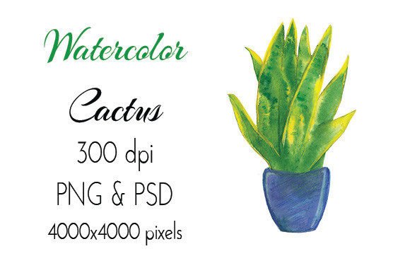 Reviewing Pot Plant Watercolor Hand Drawn PNG PSD for Branding and Marketing Use