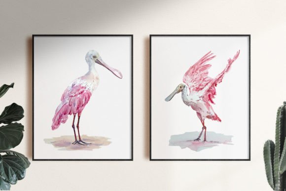 Roseate Spoonbill Watercolor Illustration for Digital Sellers