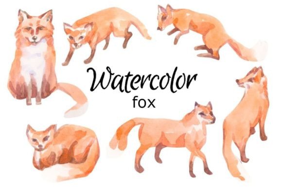 Watercolor Fox Art for Scrapbooking & Branding Projects