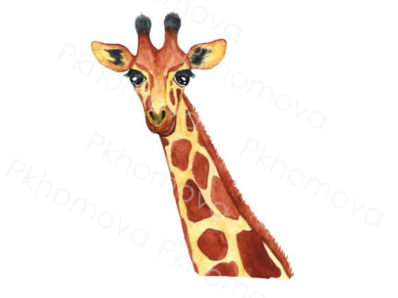Watercolor Giraffe Head Illustration: A Versatile Design Asset for Bloggers and Publishers