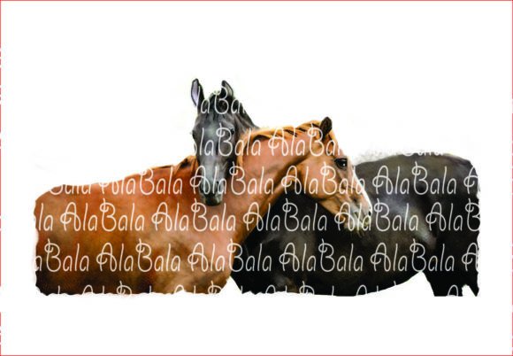 Watercolor Horses Illustrations for Branding and Packaging Design