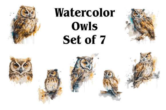 Watercolor Owls Illustrations: A Designer’s Review for Real Client Projects