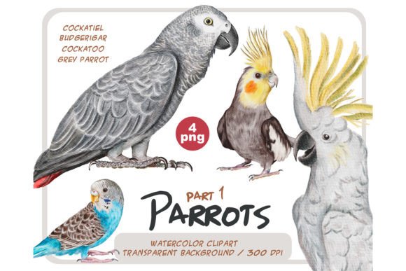 Watercolor Parrots Illustrations Bring Life to Local Branding