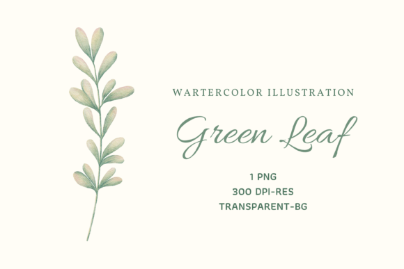Watercolor Pencil Green Leaf Clip Art for Crafting & Illustrations