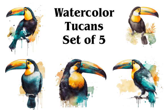 Watercolor Tucans: A Fresh Illustration for Branding and Creative Design Projects