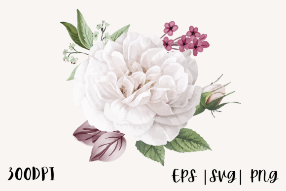 White Watercolor Rose Illustration Png for Real Crafting & Handmade Business Use