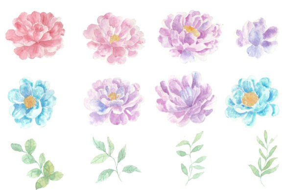 Working With Rose Watercolor Flower Clipart 08